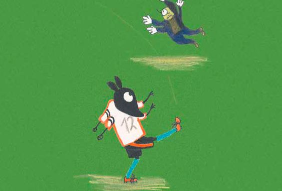 Il calcio