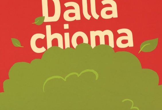 Dalla chioma