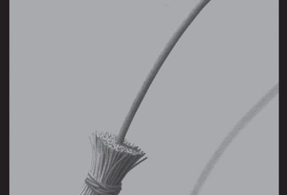 La scopa della vedova