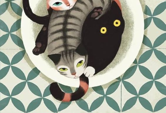 Tre gatte nel bidet