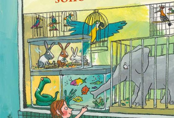 I cavallucci marini sono esauriti